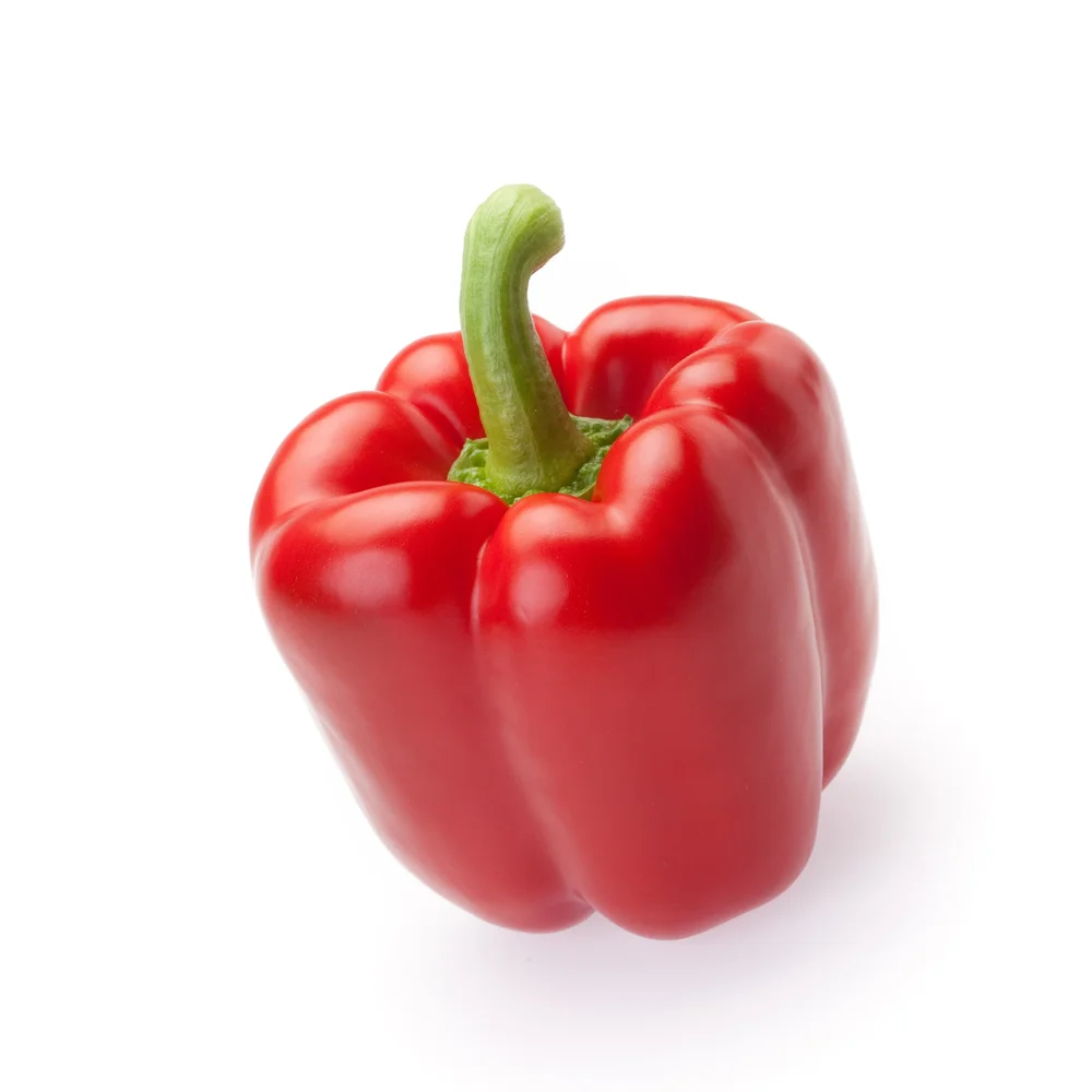 Paprika Nagano F1 EKO