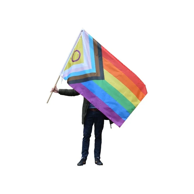 Progress Pride Flagg - 150 * 90 cm - Bild 3