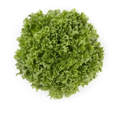 Kristallsallat Lalique RZ Kristallsallat Lalique RZ