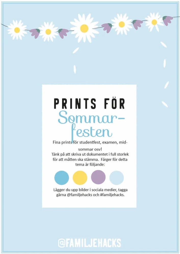 Prints för temakalas: Sommar & student - Bild 1
