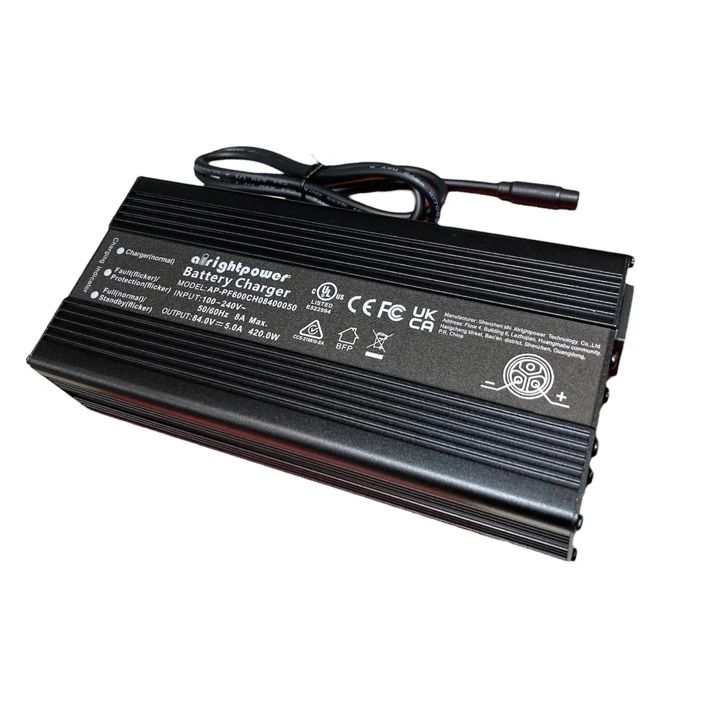 Charger (cargador) for Inmotion RS - Bild 2