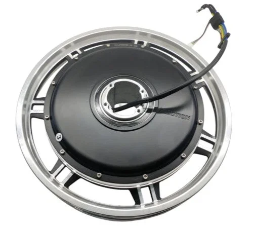 Motor (Solo motor) Inmotion V11Y