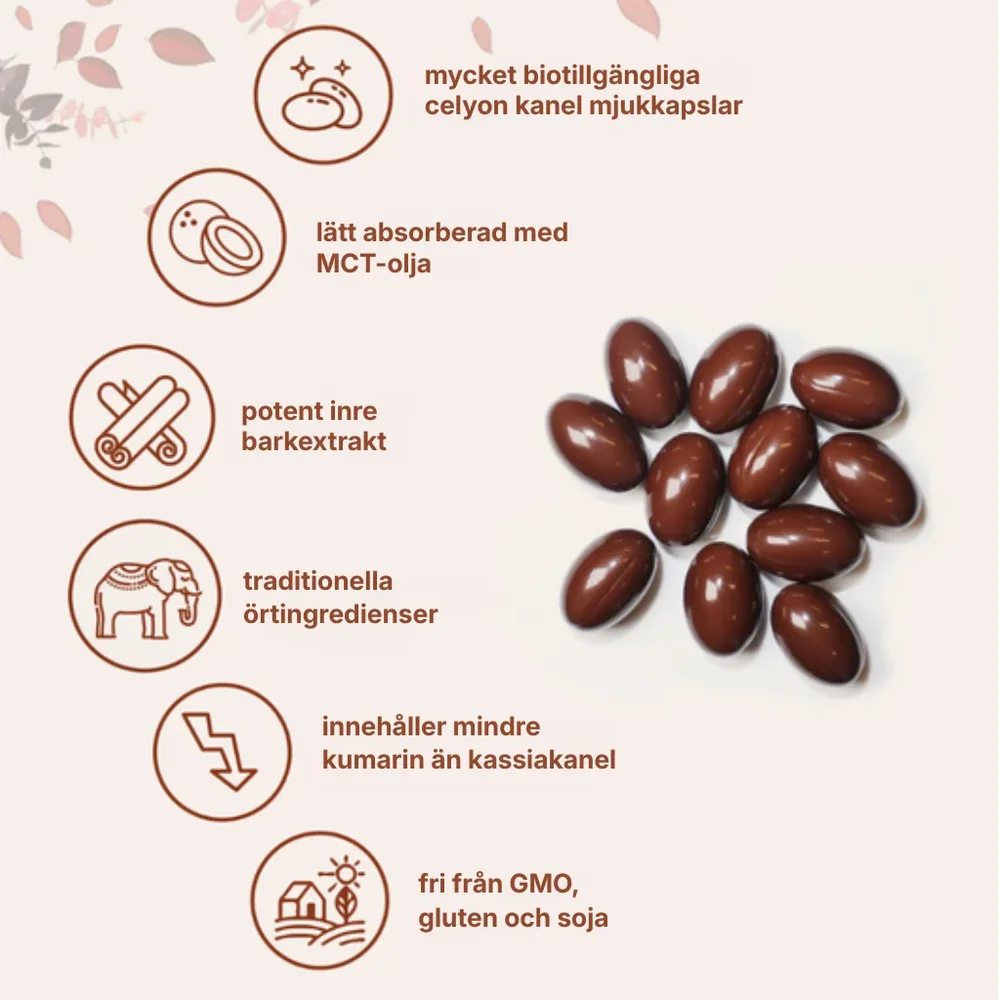 Ceyviva® | Mjukkapslar med ceylonskanel - Bild 3