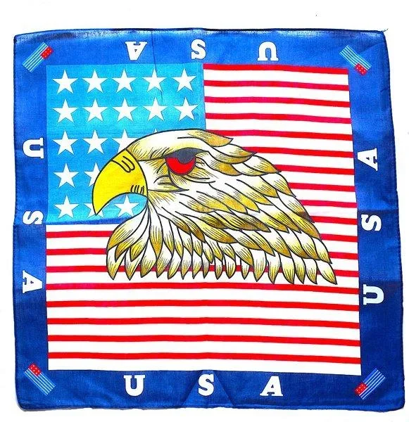 Örn USA Bandana scarf