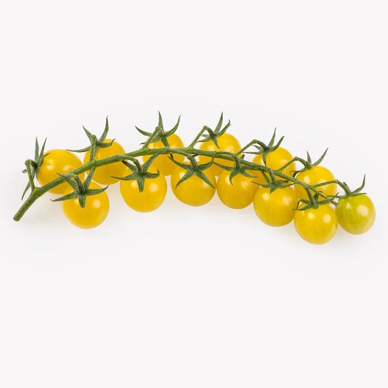LemonTini F1 - Bild 2