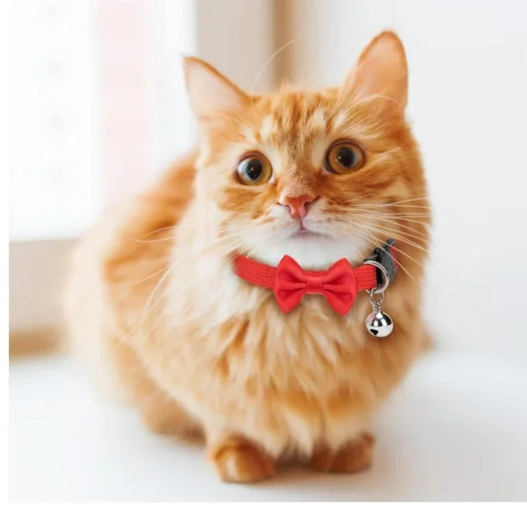 Röd Söta Katt-Halsband med Fluga och Bjällra - Justerbara och Bekväma - Bild 2