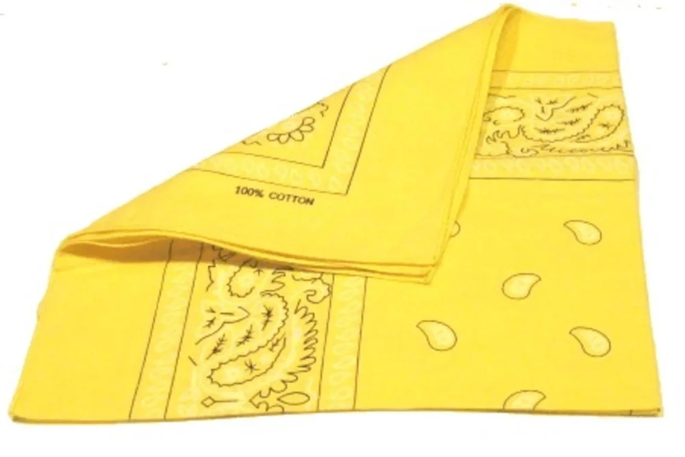 Paisley Bandana flertal färger - Bild 2