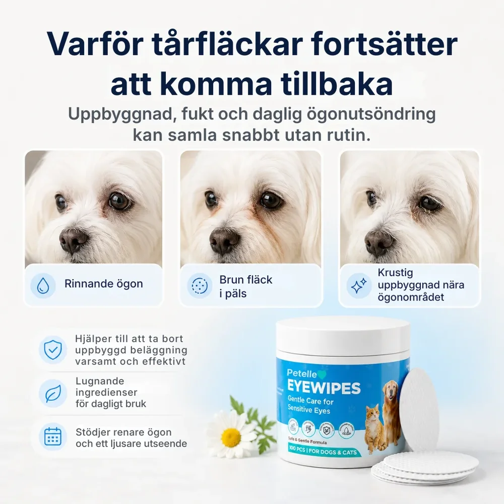 Petelle® Ögonservettsats | förebyggande åtgärder som håller ögonen friska - Bild 2