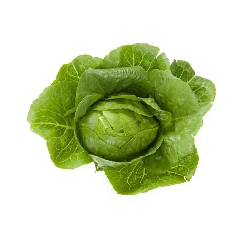 Crunchitasallat Chicarita RZ - Bild 2