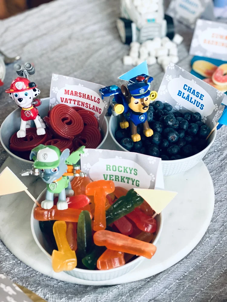 Prints för temakalas: Paw Patrol (PDF-format) - Bild 2