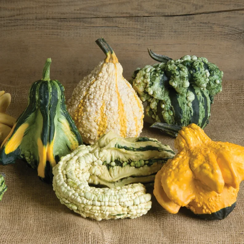 Gremlins Gourd Gremlins Gourd