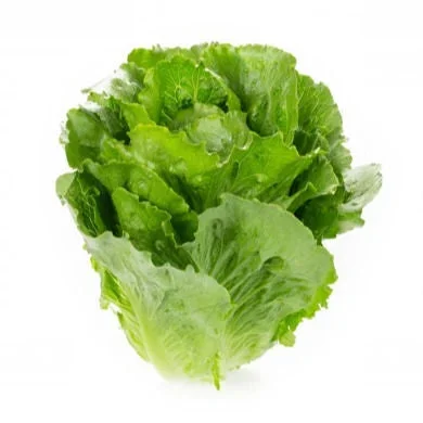 Crunchitasallat Galactita RZ - Bild 2
