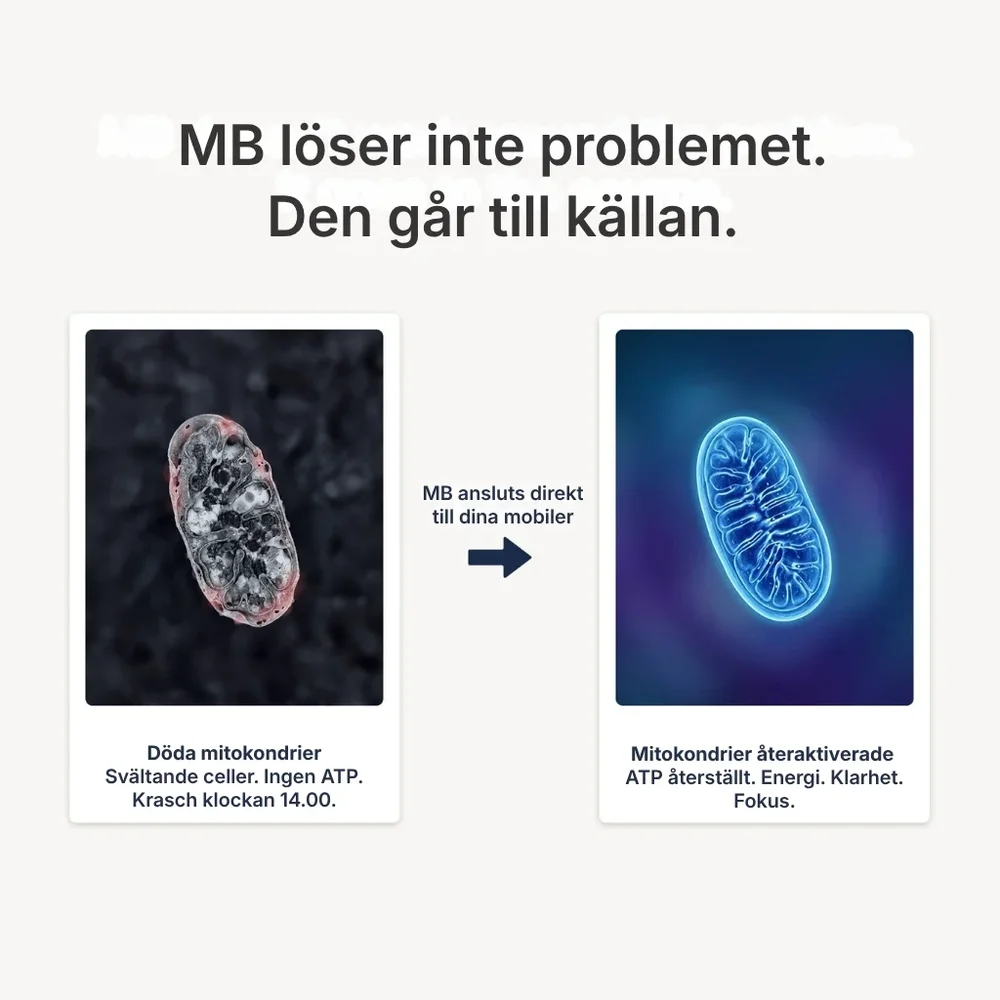 Blue Essence® | USP-kvalitet Metylenblått 1% - Du behöver inte 92 ingredienser. Du behöver en som verkligen fungerar. - Bild 3