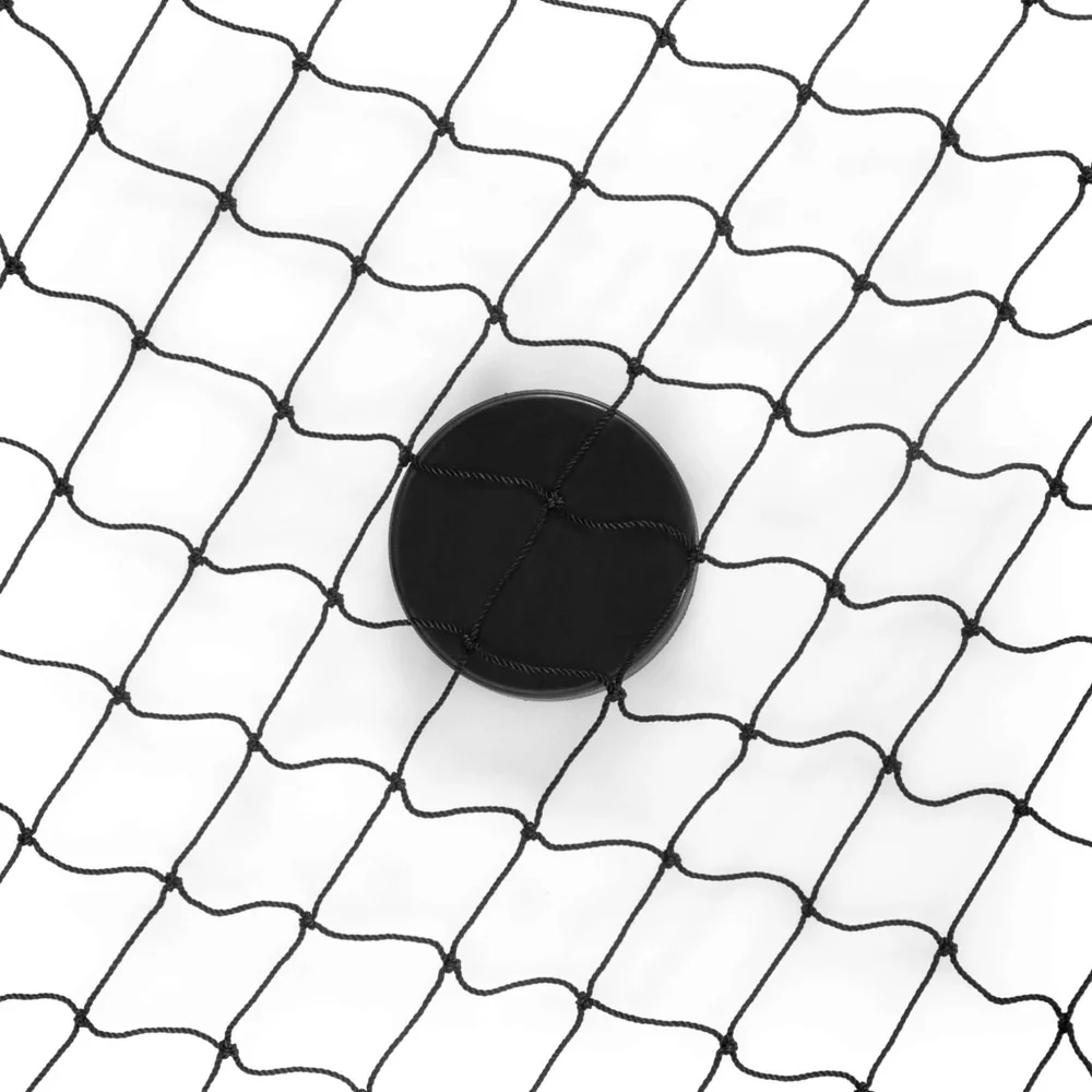 Skyddsnät - Extreme Hockey Backstop Net 5x2,5 m PE - Bild 2