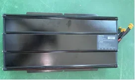 Battery Inmotion RS - Bild 2