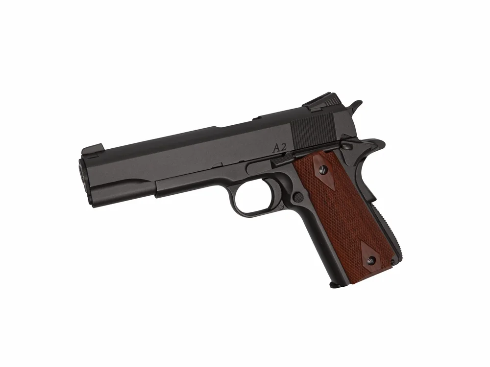 Dan Wesson A2, Co2 BlowBack - Bild 1