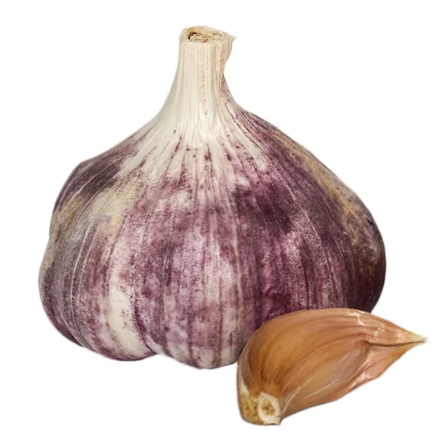 Vitlök Germidour