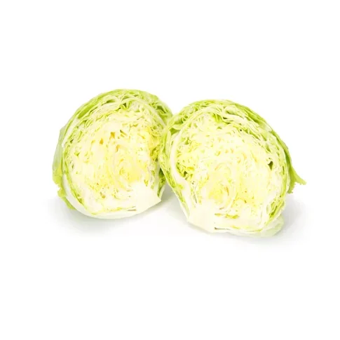 Isbergssallat Umbrinas RZ - Bild 2