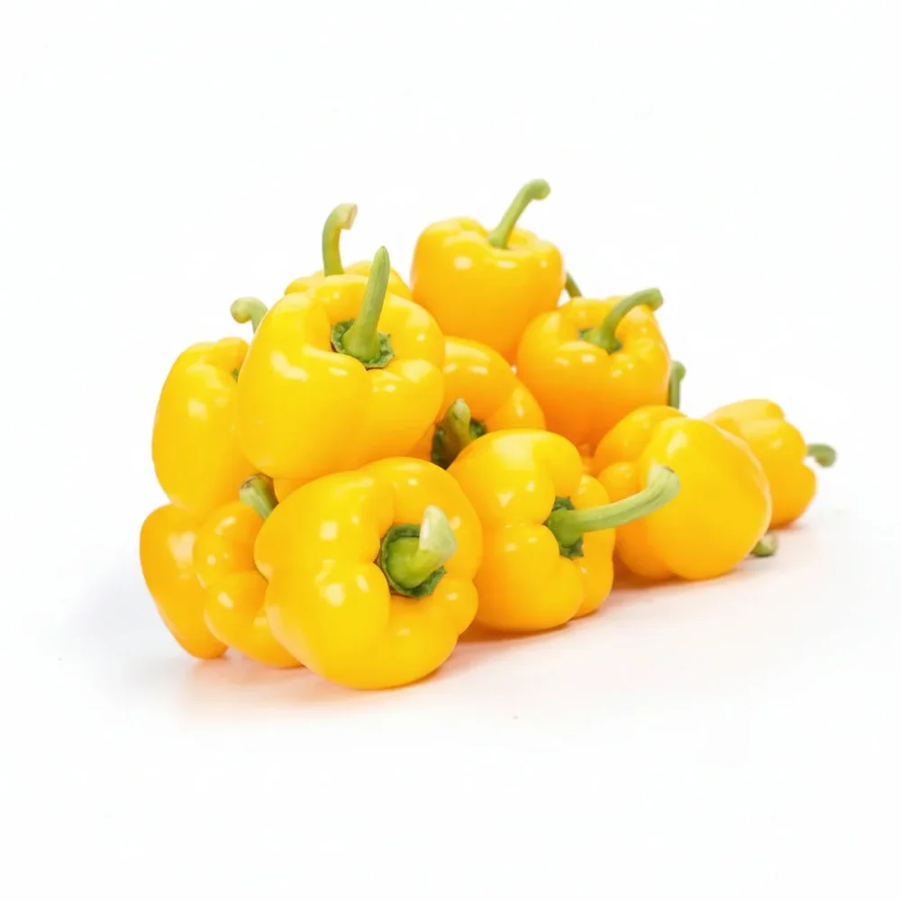 Paprika Allrounder F1 EKO