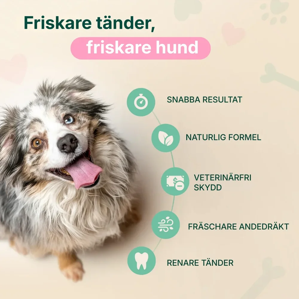 PawFresh® | Hundar/katter – Det handlar inte bara om andedräkten – det handlar om hälsa, välbefinnande och att äntligen göra något som verkligen fungerar. - Bild 2