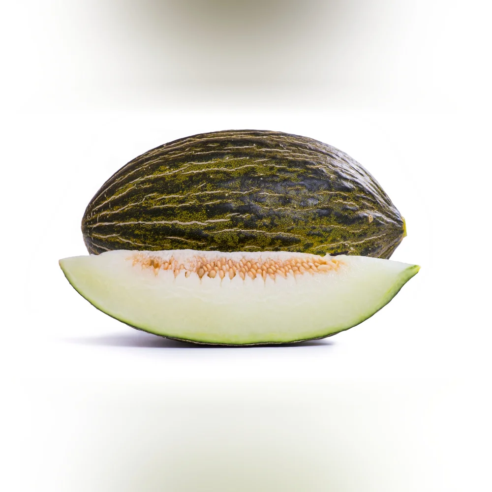 Melon Ricura RZ F1