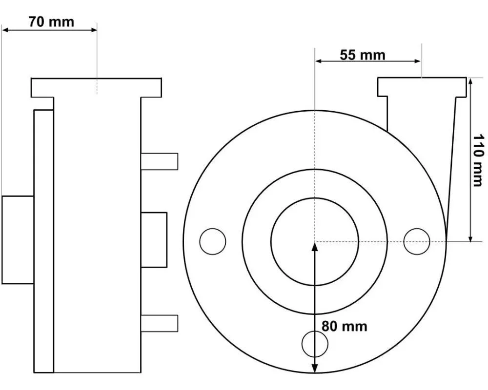 Pump Balboa Niagara 3hp 2-spd Pump (2x2) - Bild 2