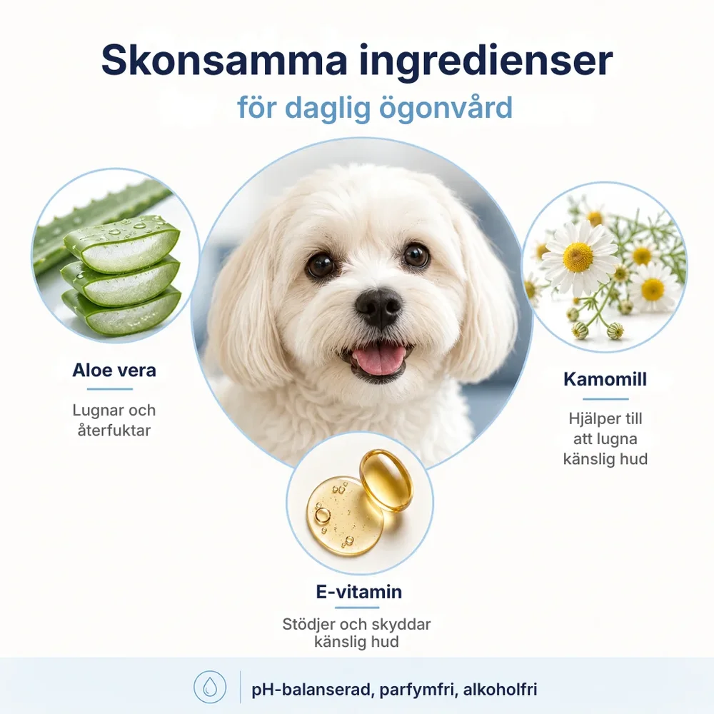 Petelle® Ögonservettsats | förebyggande åtgärder som håller ögonen friska - Bild 3
