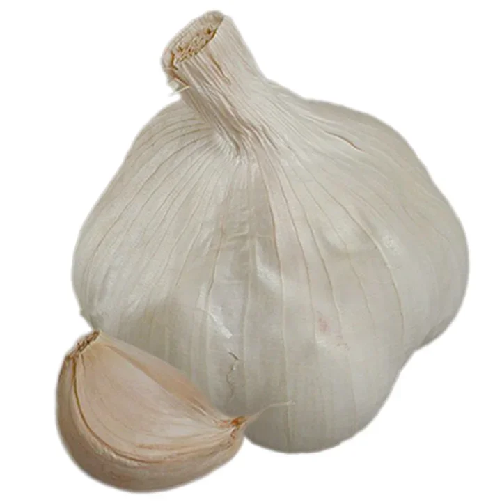 Vitlök Messidrôme