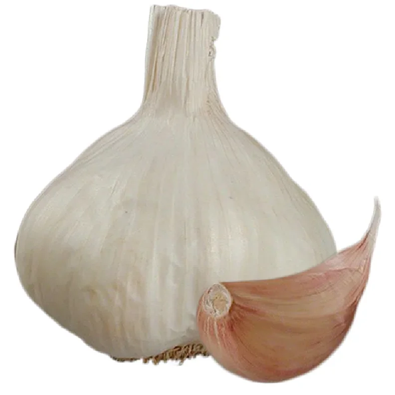 Vitlök Flavor