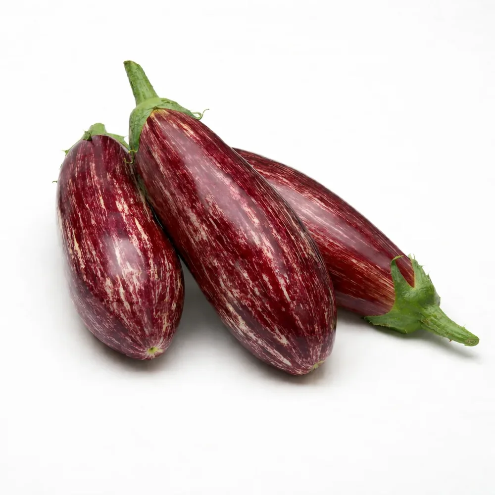 Aubergine Angela F1