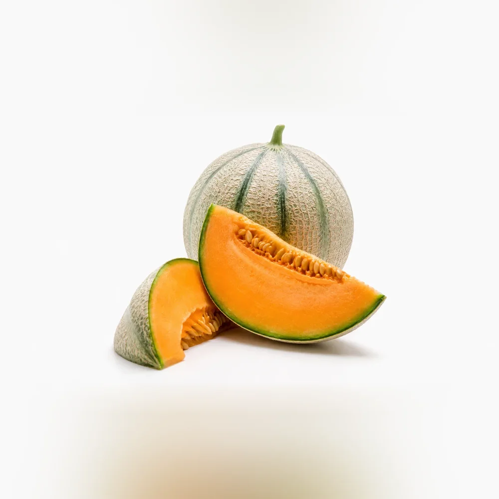 Melon Salomon F1