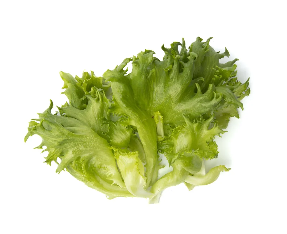 Krispsallat Finstar - Bild 2