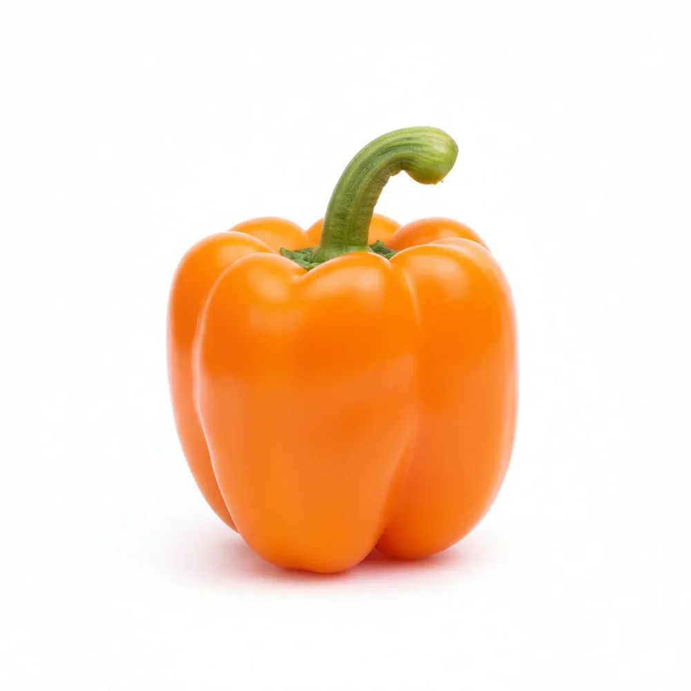 Paprika Boogie F1