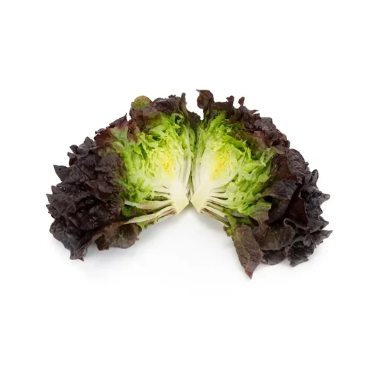 Bataviasalanova Bonarda RZ Knox™ - Bild 2