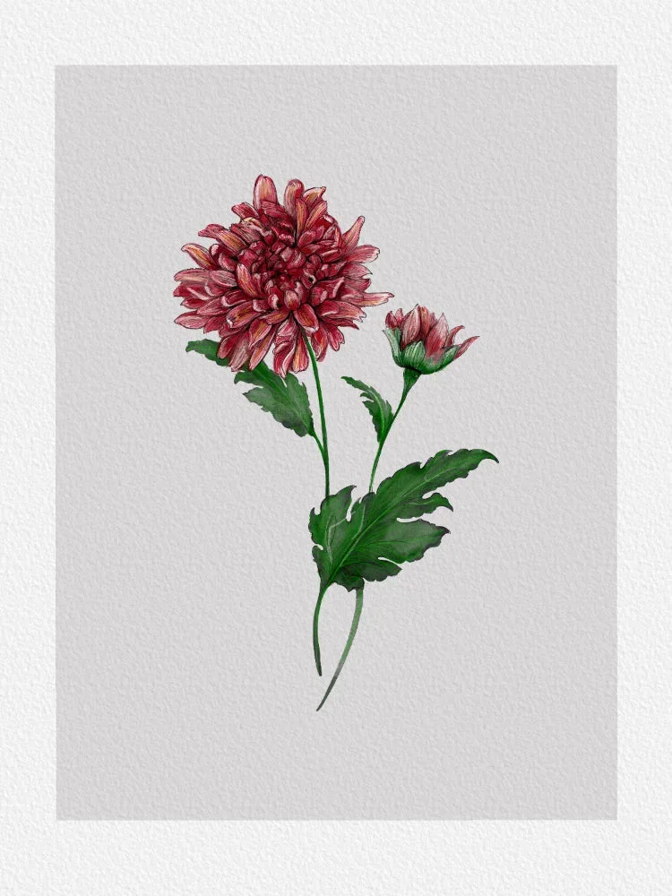 Blomsteraffisch - Ingen text - Bild 2