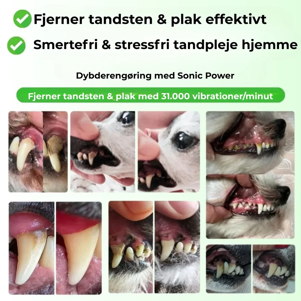 PawSafe® | 3-i-1 Kit – Säkert tandvård hemma - Bild 2