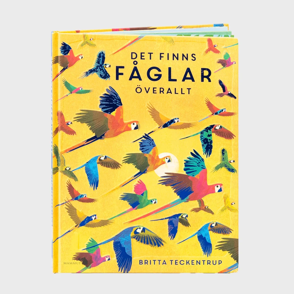 Det finns fåglar överallt Det finns fåglar överallt