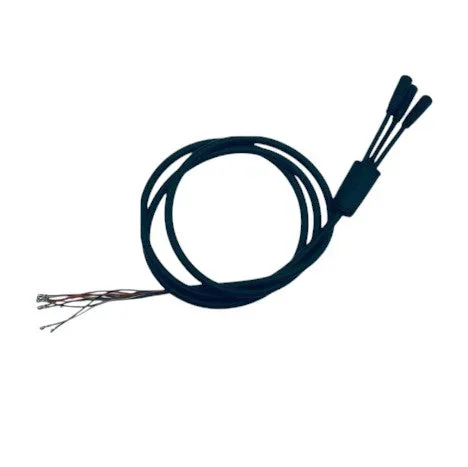 Cable principal (3 conectores y 10 pines) Kaabo Mantis 10 Cable principal (3 conectores y 10 pines) Kaabo Mantis 10