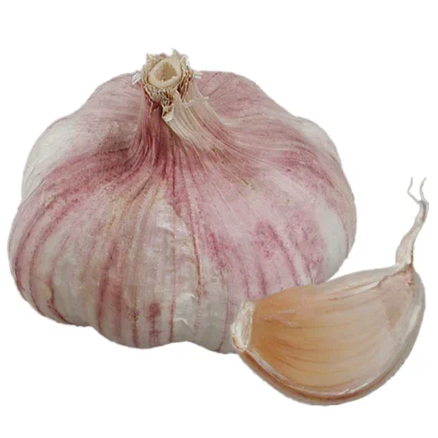 Vitlök Primor Vitlök Primor