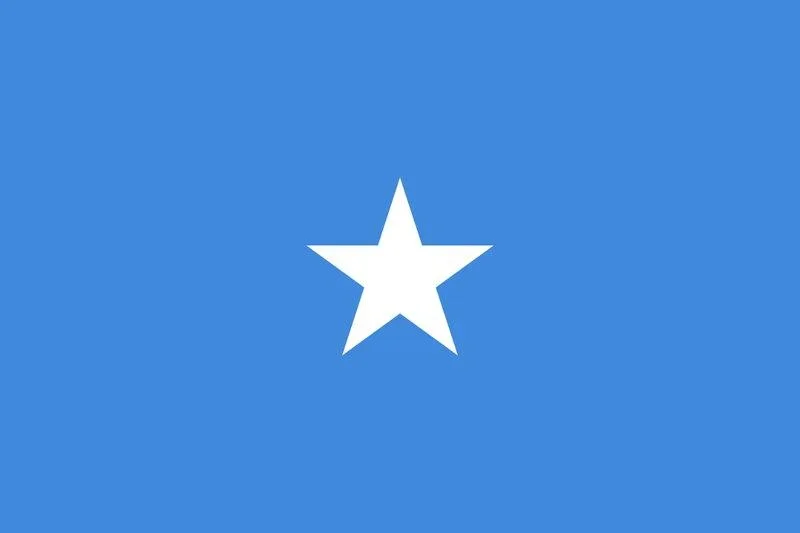 Somalias flagga