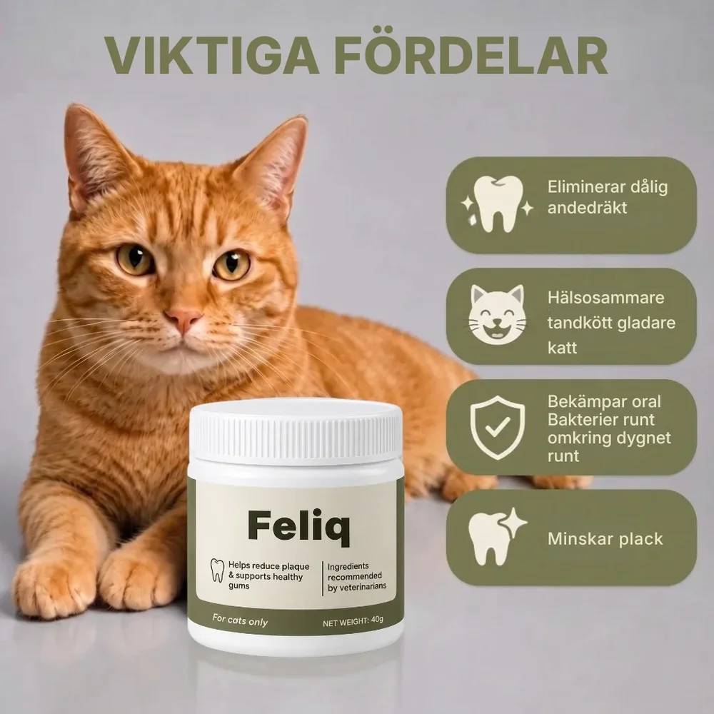 Feliq® | Skydda din katt mot tandplack och dyra veterinärräkningar - Bild 3