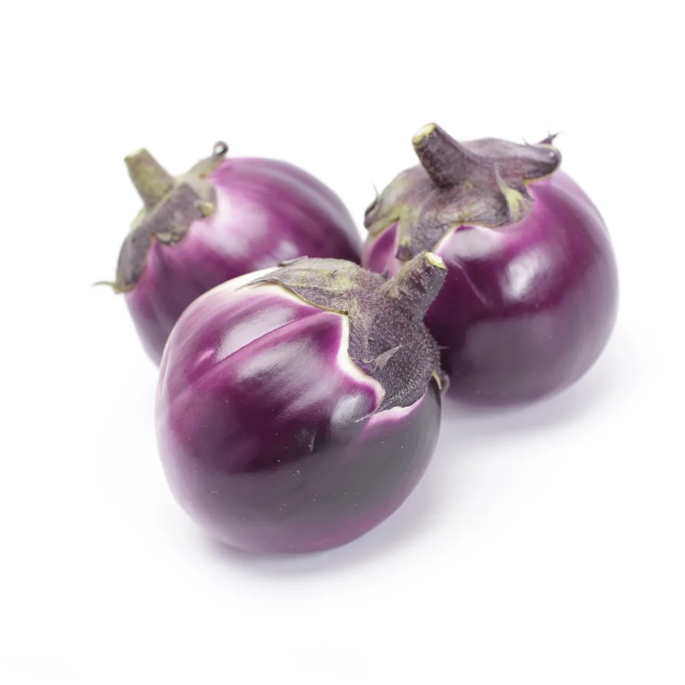 Aubergine Sabelle F1