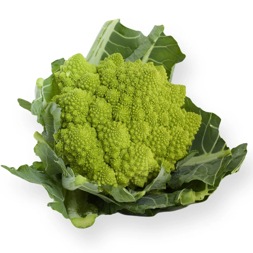 Romanesco Puntoverde F1