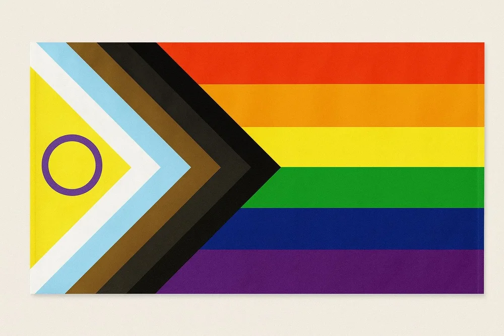 Progress Pride Flagg - 150 * 90 cm - Bild 2