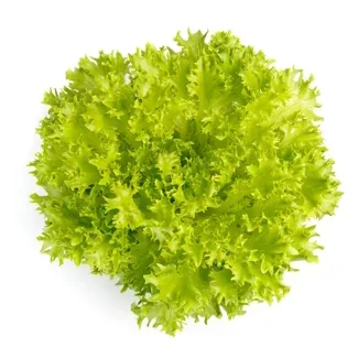 Krispsalanova Exact RZ Krispsalanova Exact RZ