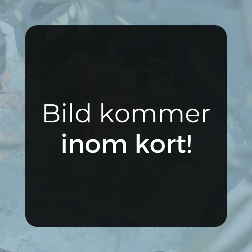 Jetmunstycke för Swimspa - Bild 3