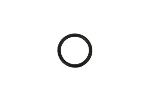 PISTON HEAD SEAL - Bild 1