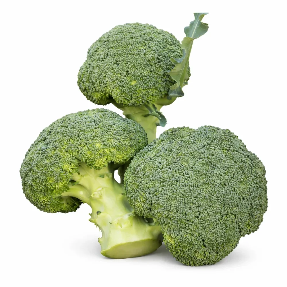 Broccoli Batavia F1