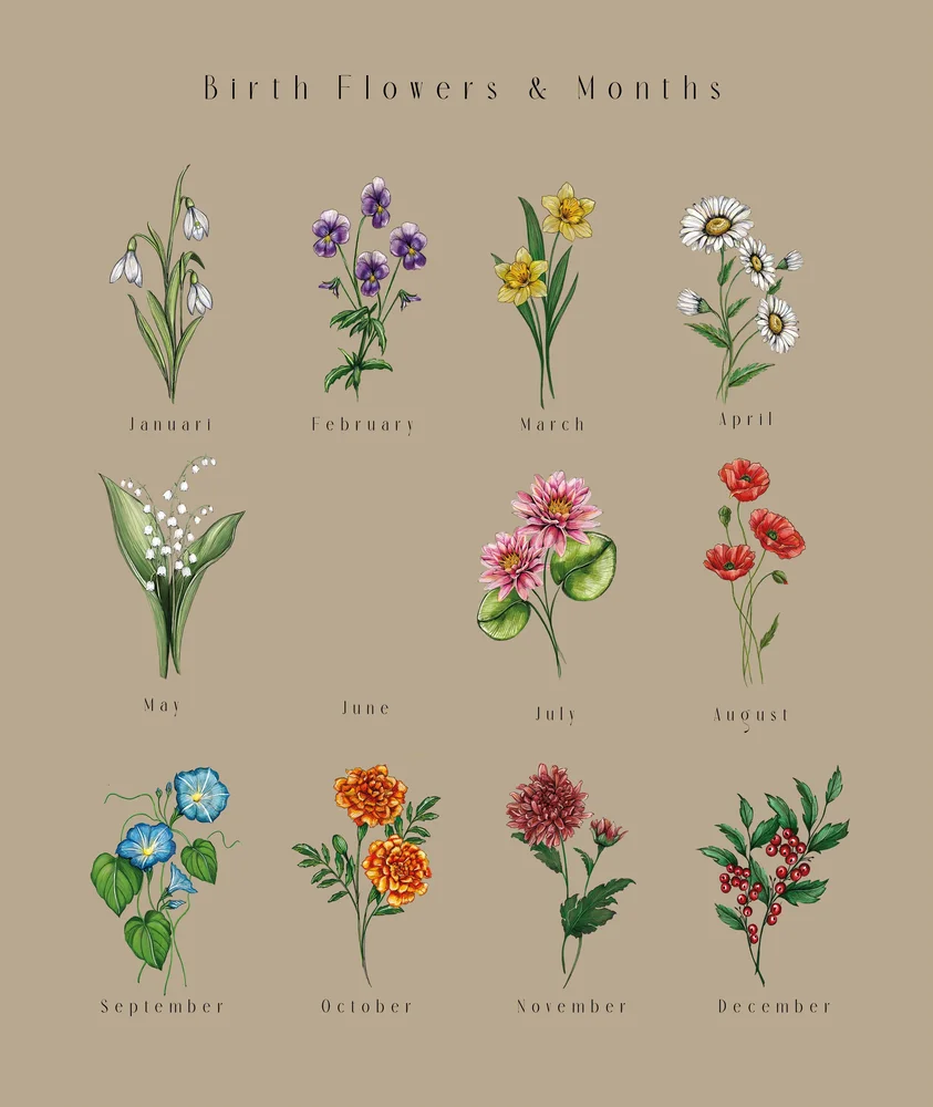 Syskonens födelseblommor - Bild 3