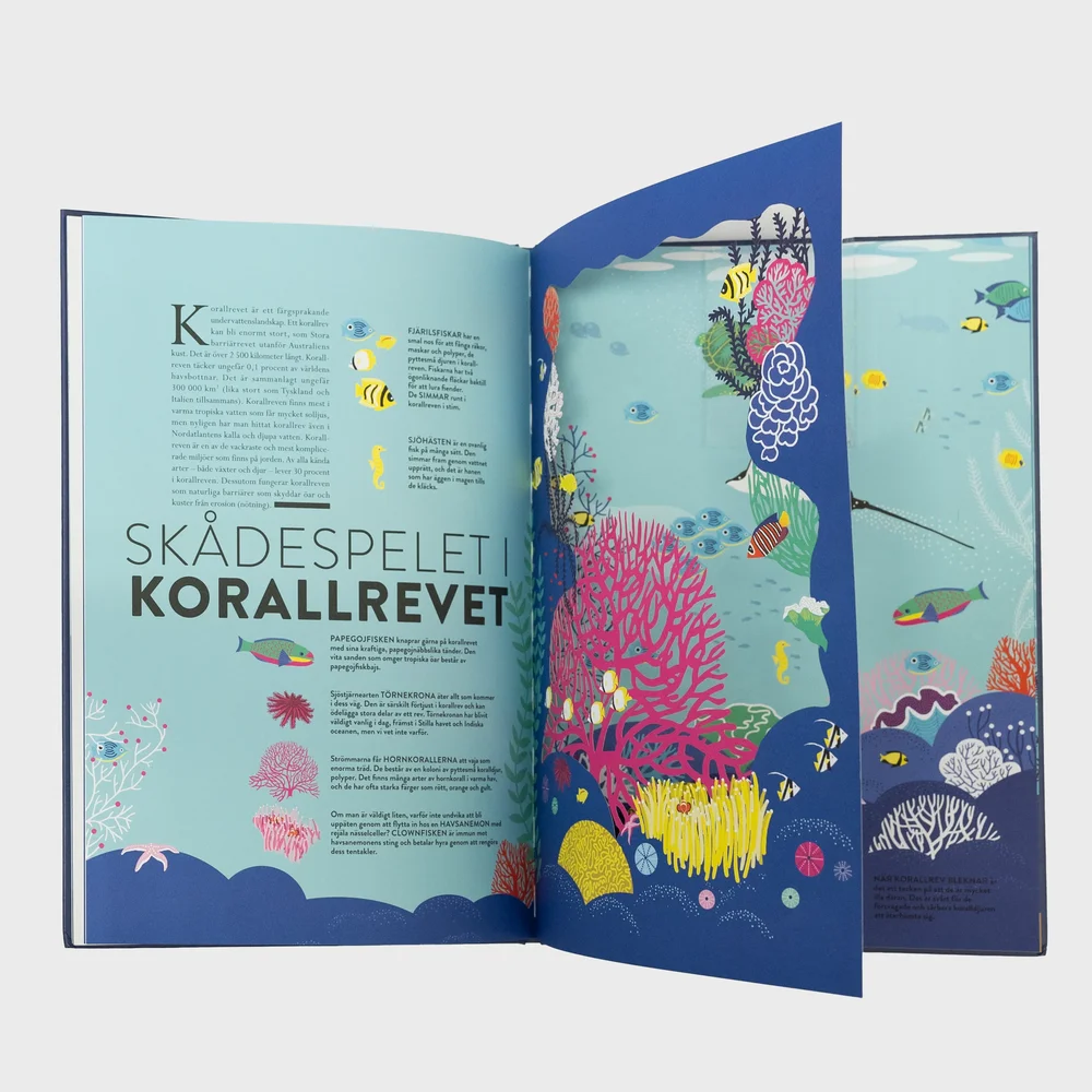 Havet - Bild 2